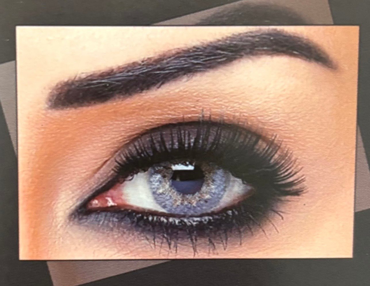 bella contact lenses contour Natural Gray