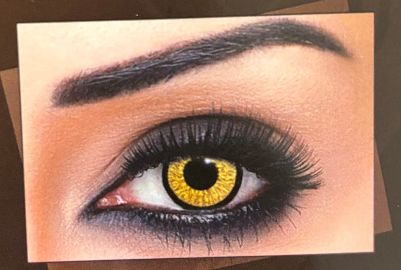 bella contact lenses contour Highlight Cool Hazel