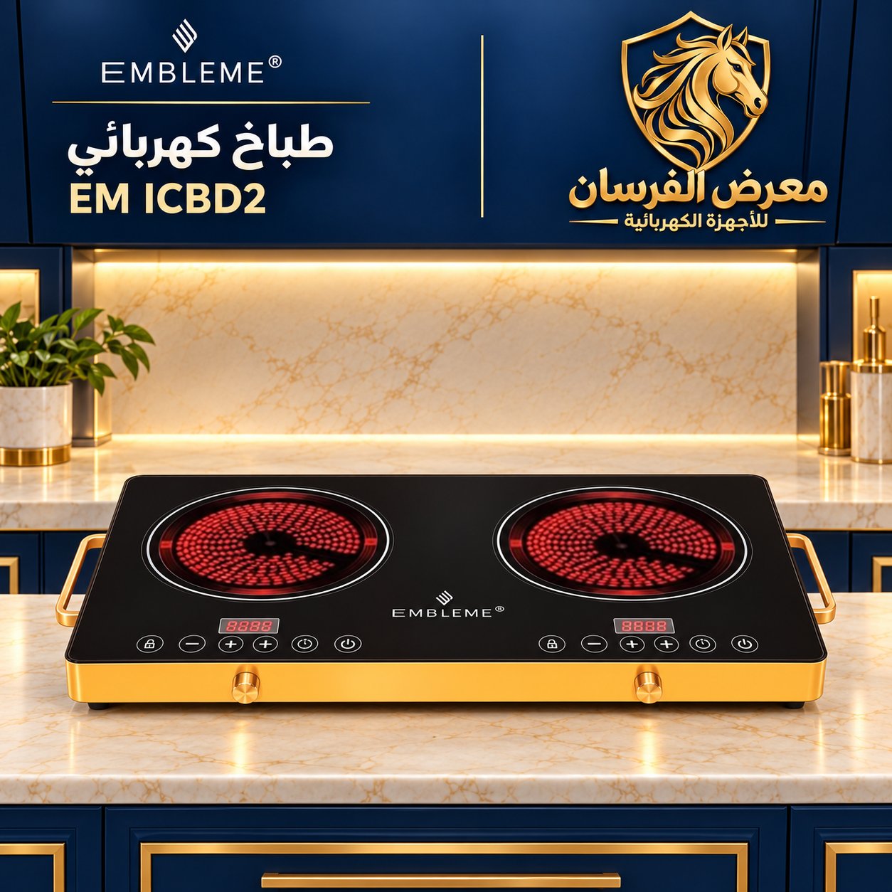 EMBLEME EM ICBD2 Double Electric Cooker