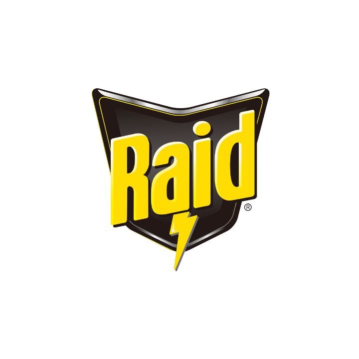 Raid
