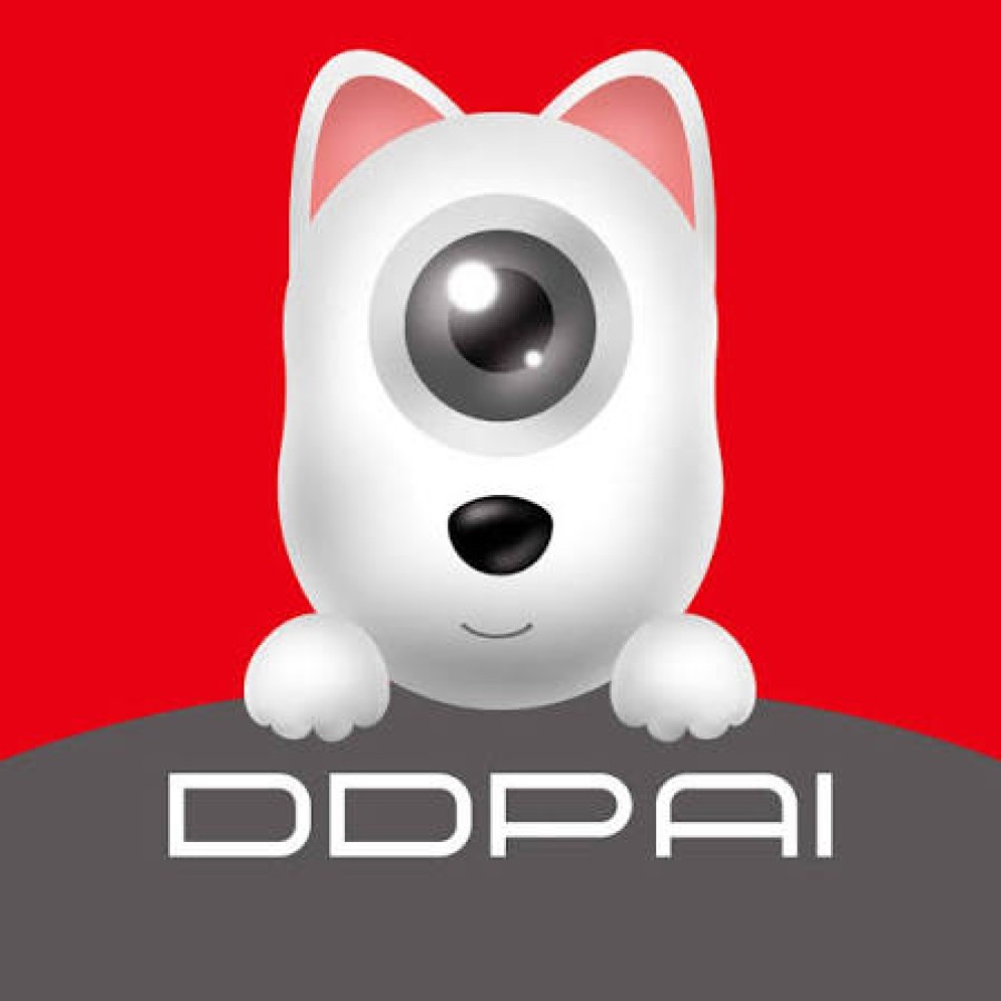 DDPAI