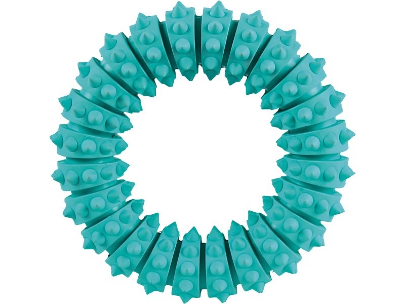 Dog Chew Toy