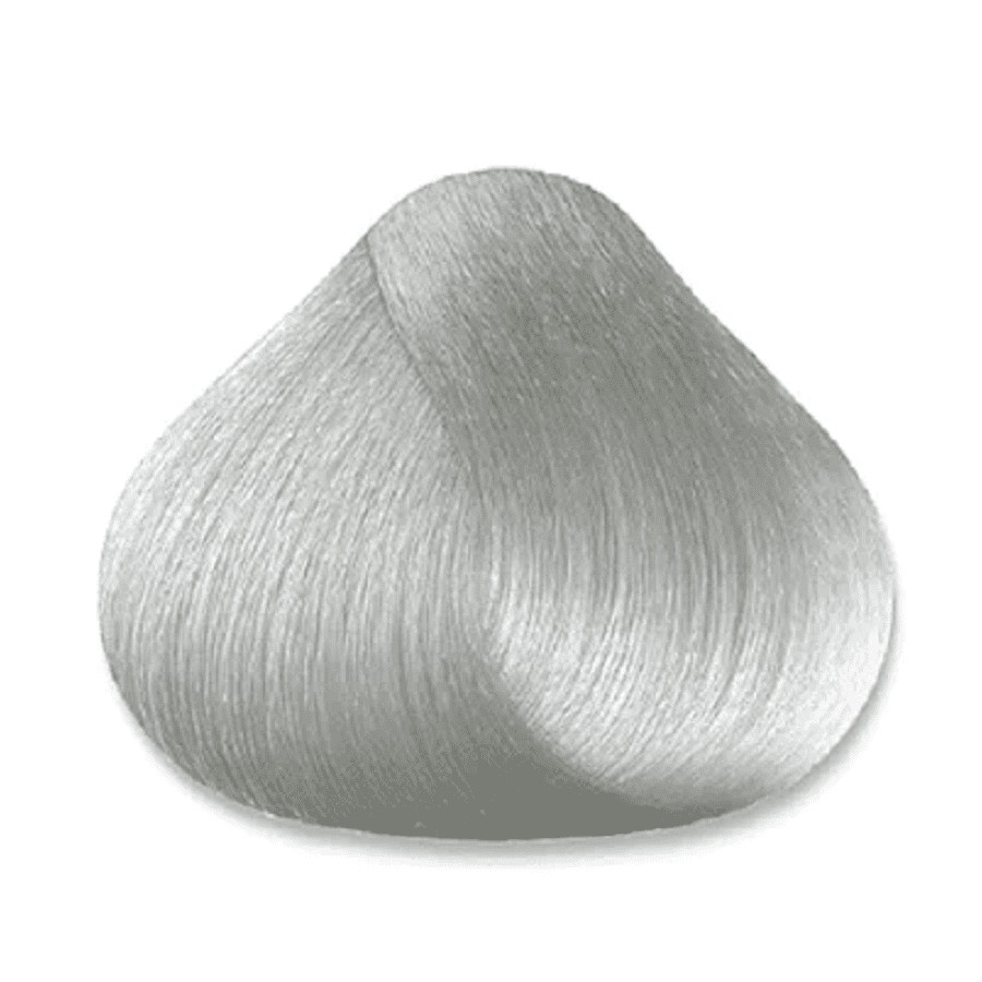 10.1 Platinum Ash Titanium Blonde