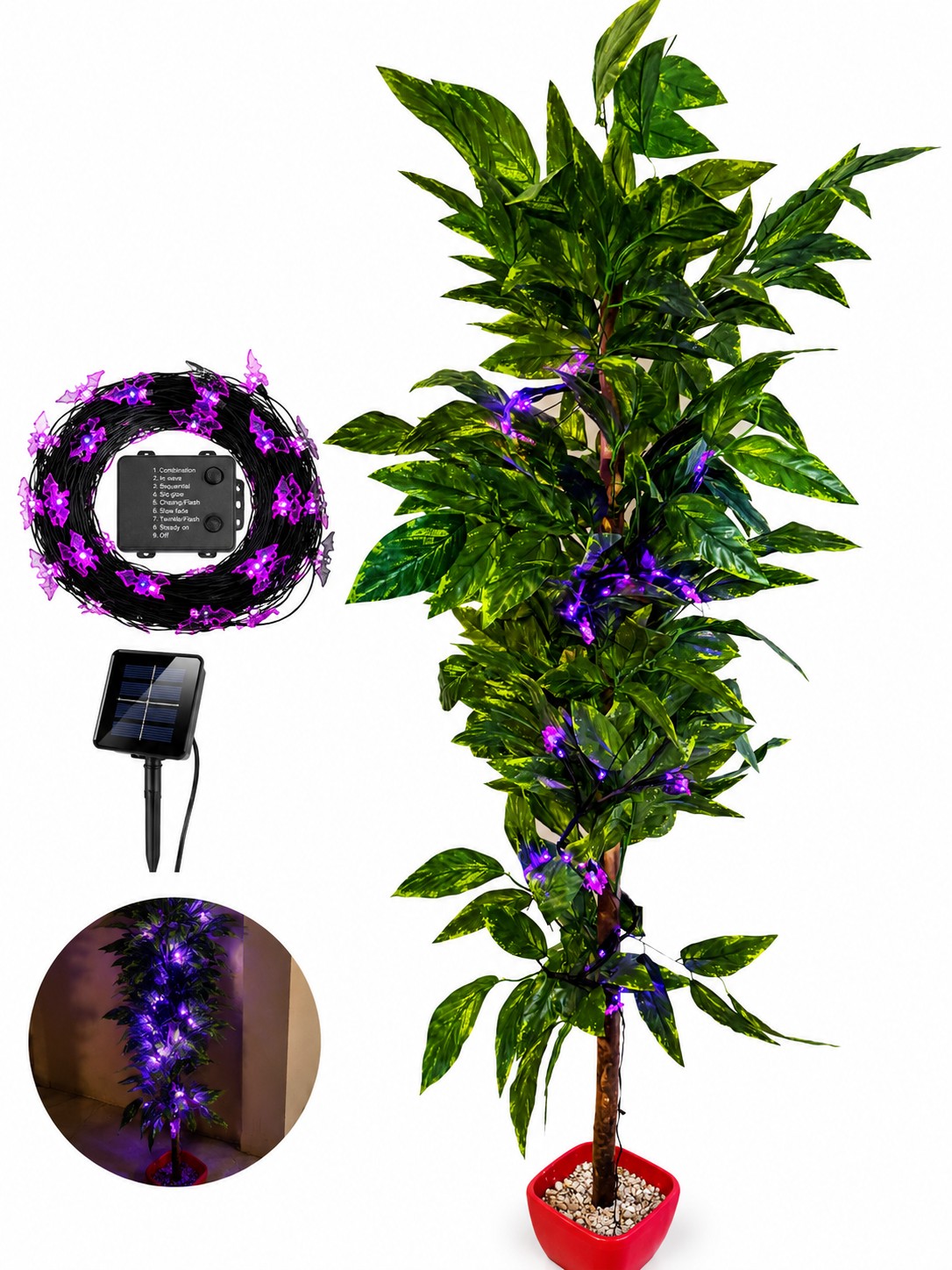LED Decorative Garden Lights