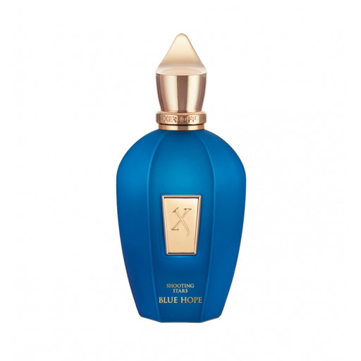 Blue Hope Unisex Eau De Parfum عطر بلو هوب لكلا الجنسين
