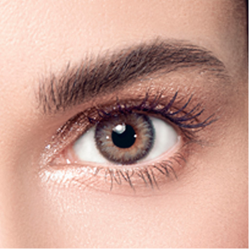 Blended Gray Once Lenses عدسات انستازيا اليومية