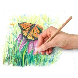 ستيدتلر (Design Journey 146 C) أقلام تلوين خشبية بألوان الباستيل، 12 لوناً - 146C M12 STAEDTLER Design Journey 146 C Pastel Colored Pencils, 12 Colors - 146C M12