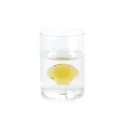 كوب بالفي – أتلانتس شيل، باللون الأصفر، زجاج Balvi Glass,Atlantis Shell,yellow,glass