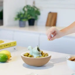 وعاء وجبات خفيفة بالفي – هانجري سكويرل، سيراميك Balvi Snack bowl,Hungry Squirrel,ceramic
