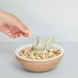 وعاء وجبات خفيفة بالفي – هانجري سكويرل، سيراميك Balvi Snack bowl,Hungry Squirrel,ceramic