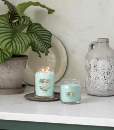 شمعة "يانكي كاندل" (Yankee Candle) الحجم المتوسط (Signature Medium Jar) - الصبار والأغاف Yankee Candle Signature Medium Jar - Aloe & Agave