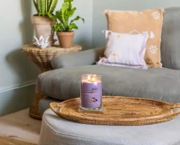شمعة "يانكي كاندل" (Yankee Candle) الحجم الكبير (Signature Large Jar) - الصبار والأغاف Yankee Candle Signature Large Jar - Aloe & Agave