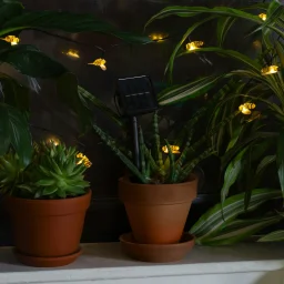 كيكر لاند شريط إضاءة LED على الطاقة الشمسية شكل نحلة Kikkerland Solar Bee String Lights