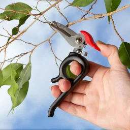 كيكر لاند مقص حدائق وودبيكر Kikkerland Woodpecker Garden Shears