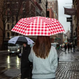 كيكر لاند مظلة على شكل باجيت Kikkerland Baguette Umbrella