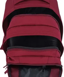 جانسبورت درايفر 8 - أحمر روسيت JanSport Driver 8 - Russet Red