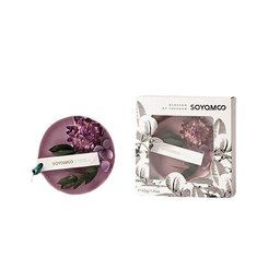 معطر معلّق للسيارة والخزانة Hanging Air Freshener for Car and Wardrobe