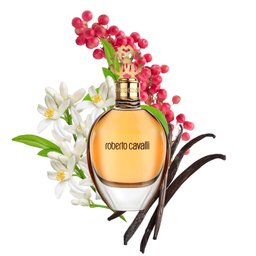 عطر روبرتو كافالي او دي بارفيوم 75 مل ROBERTO CAVALLI EAU DE PARFUM 75 ML for WOMEN