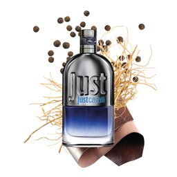 عطر جست كافالي او دي تواليت روبرتو كافالي للرجال 90 مل roberto cavalli JUST CAVALLI FOR HIM EAU DE TOILETTE 90 ML