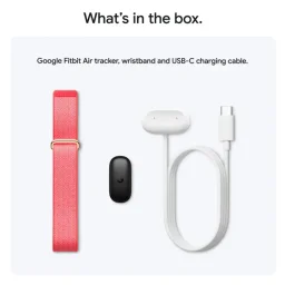 جوجل فيتبيت إير متعقب اللياقة البدنية القابل للارتداء - توتي Google Fitbit Air Wearable Fitness Tracker - Berry