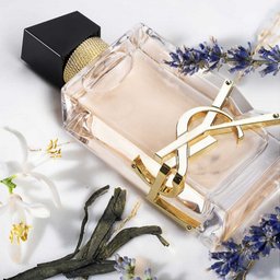 عطر ايف سان لوران ليبر او دو تواليت 90مل YVES SAINT LAURENT Libre EDT