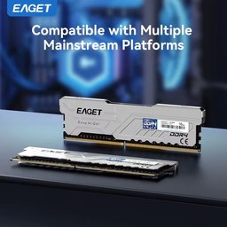 رام إيجيت (EAGET) دي دي أر 4 سعة 32 جيجابايت (16x2) بتردد 3200 ميجاهرتز EAGET PS40 series DDR4 desktop RAM (U-DIMM)