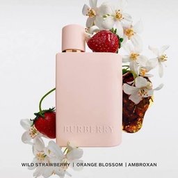 عطر بربري هير او دو بارفيوم انتنس 100مل Burberry Her 2024 Eau de Parfum Burberry Her 2024 Eau de Parfum Intense 100ml 100ml
