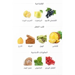 سترايك بلاك عطر Strike Black Assaf