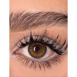 رموش مانجا Eyelashes