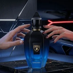 عطر أفانغارديا اودي بارفيوم 100 مل Xerjoff