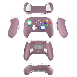 يد تحكم ألعاب ANBERNIC RG P01 لاسلكية ومتعددة المنصات مع إضاءة RGB ANBERNIC RG P01 Wireless Gaming Controller