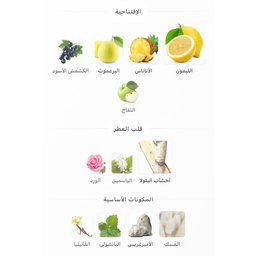 كلوب دي نوي إنتنس مان Club de Nuit Intense Man