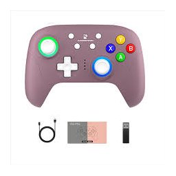 يد تحكم ألعاب ANBERNIC RG P01 لاسلكية ومتعددة المنصات مع إضاءة RGB ANBERNIC RG P01 Wireless Gaming Controller