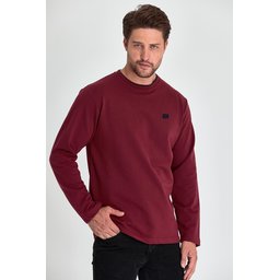 سويت شيرت رجالي ياقة دائرية مزدوجة بطبعة، قصة مريحة - عنابي Men's Burgundy Double Crew Neck Printed Standard Fit Sweatshirt