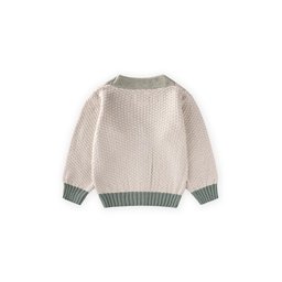 كارديجان تريكو بأزرار للأطفال 2-8 سنوات - أخضر طبيعي Knitted Buttoned Cardigan for Kids 2-8 Years - Natural Green