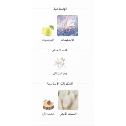 نوبل سيدار Noble Cedar