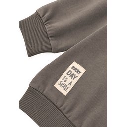 سويتشيرت أطفال موسمي بتفاصيل ملصق - 2-10 سنوات - لون فيزون Kids' Seasonal Sweatshirt with Label Detail - 2-10 Years - Vizon