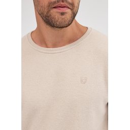 سويت شيرت رجالي بيج بقصة عادية وياقة دائرية من القطن Men's Beige Standard Fit Cotton Basic Crew Neck Sweatshirt