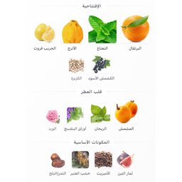 رير ريف Rare Reef