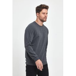 سويت شيرت رجالي بياقة دائرية وتطريز - ANTRASİT Men's Anthracite Crew Neck Embroidered Regular Fit Sweatshirt - ANTRASİT