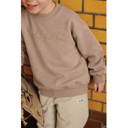 سويت شيرت أطفال قطني خفيف للمواسم 1-7 سنوات - لون فيزون Kids' Thin Seasonal Cotton Sweatshirt 1-7 Years - Vizon