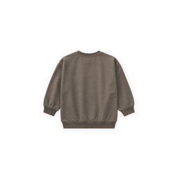 سويتشيرت أطفال موسمي بتفاصيل ملصق - 2-10 سنوات - لون فيزون Kids' Seasonal Sweatshirt with Label Detail - 2-10 Years - Vizon