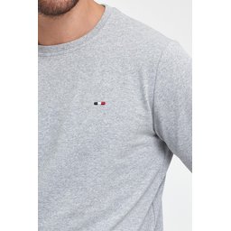 سويت شيرت رجالي رمادي بياقة دائرية وتطريز، قصة عادية Men's Grey Crew Neck Embroidered Regular Fit Sweatshirt