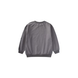 سويت شيرت شتوي للأولاد مطبوع - رمادي (8-12 سنة) Printed Boys' Winter Sweatshirt - Grey (Ages 8-12)