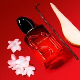 عطر سي باشن Eau de Parfum للنساء Giorgio Armani Sì Passione Eau De Perfume Women's Perfume