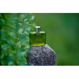 كوجي كلتي الكسير Gucci Guilty Elixir de Parfum