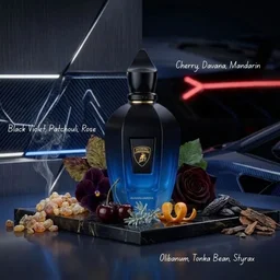 عطر أفانغارديا اودي بارفيوم 100 مل Xerjoff