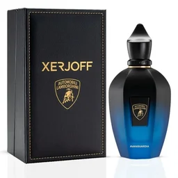 عطر أفانغارديا اودي بارفيوم 100 مل Xerjoff