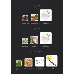كوجي كلتي الكسير Gucci Guilty Elixir de Parfum
