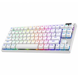 لوجتك جي برو تي كي ال Logitech G PRO X TKL RAPID White Wired